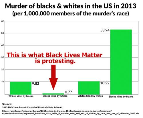 Media blackout on murders by BLM activists?