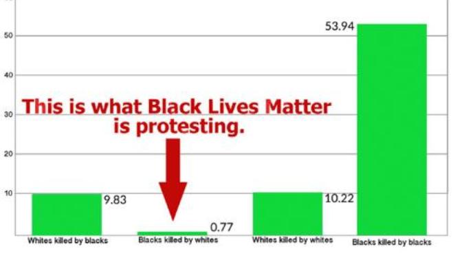 Media blackout on murders by BLM activists?