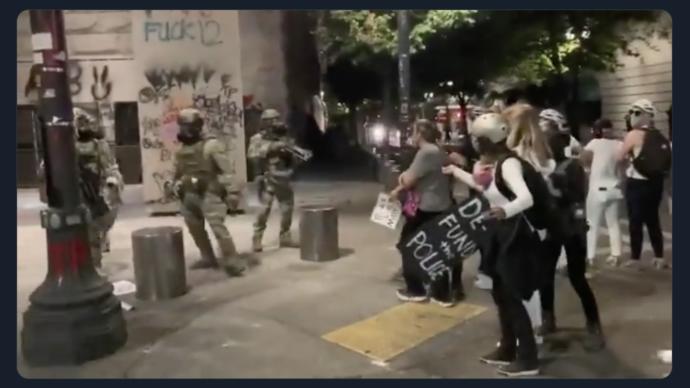 So... black-booted federal agents sent by the govt is bad, right?
