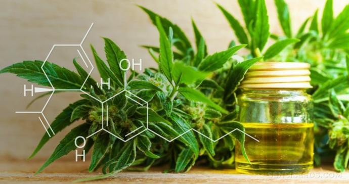 Is CBD oil really that effective?