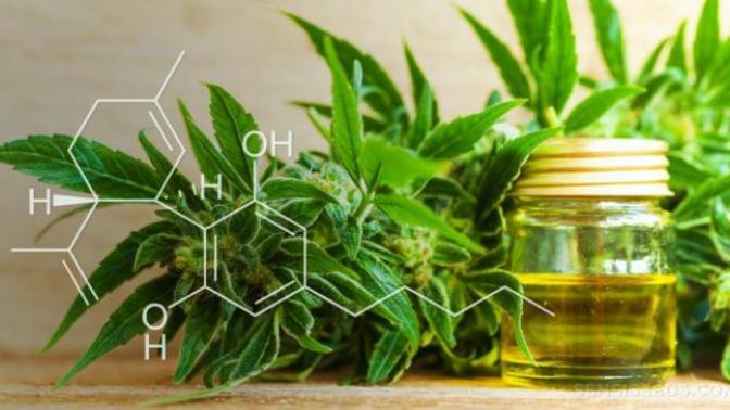 Is CBD oil really that effective?