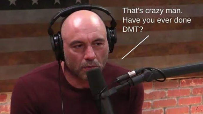 What do you think of Joe Rogan?