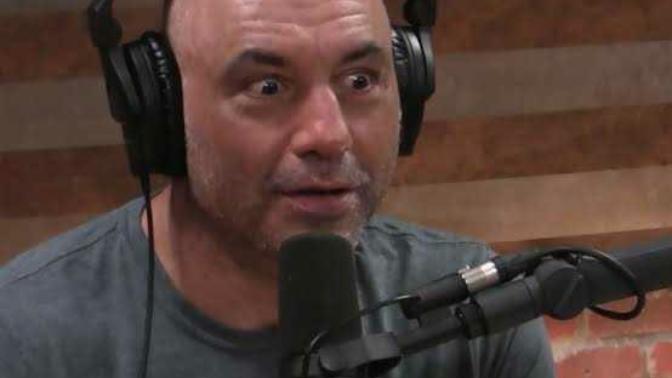 What do you think of Joe Rogan?