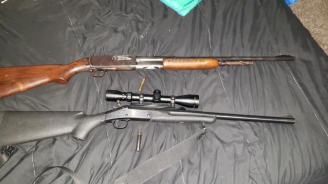 Do you have a brush gun?