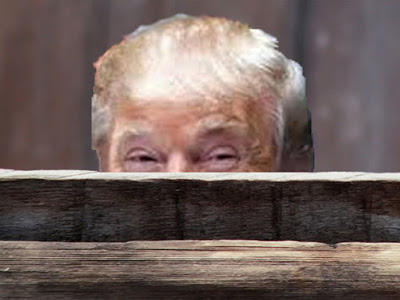 Why Do You Suppose Trump Just Said of Child Sex Trafficker Ghislaine Maxwell, I Wish Her Well?