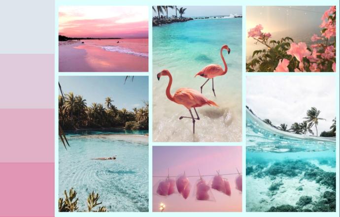 Which aesthetic do you like more?