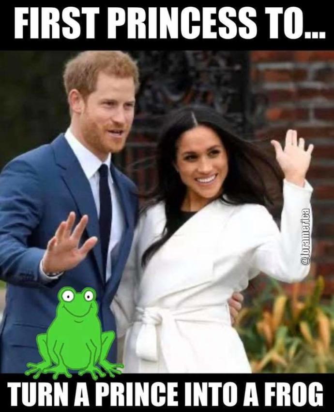 Is your opinion of Meghan Markle Positive or Negative?