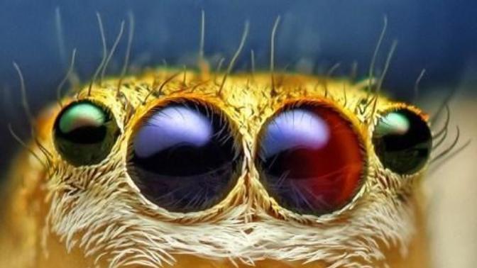 What's bugging you these days/right now?