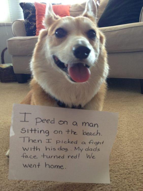 Finish this sentence: I should come with a warning label or sign that says... ?
