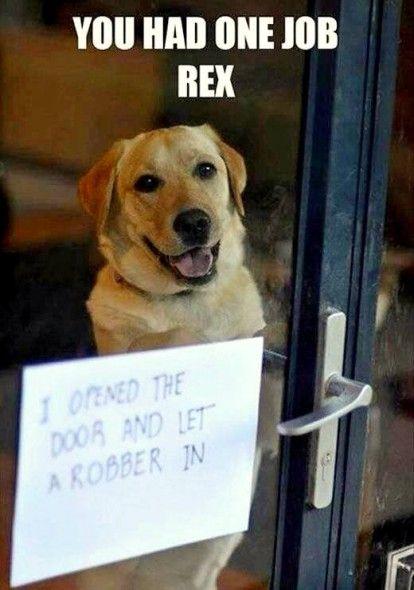 Finish this sentence: I should come with a warning label or sign that says... ?