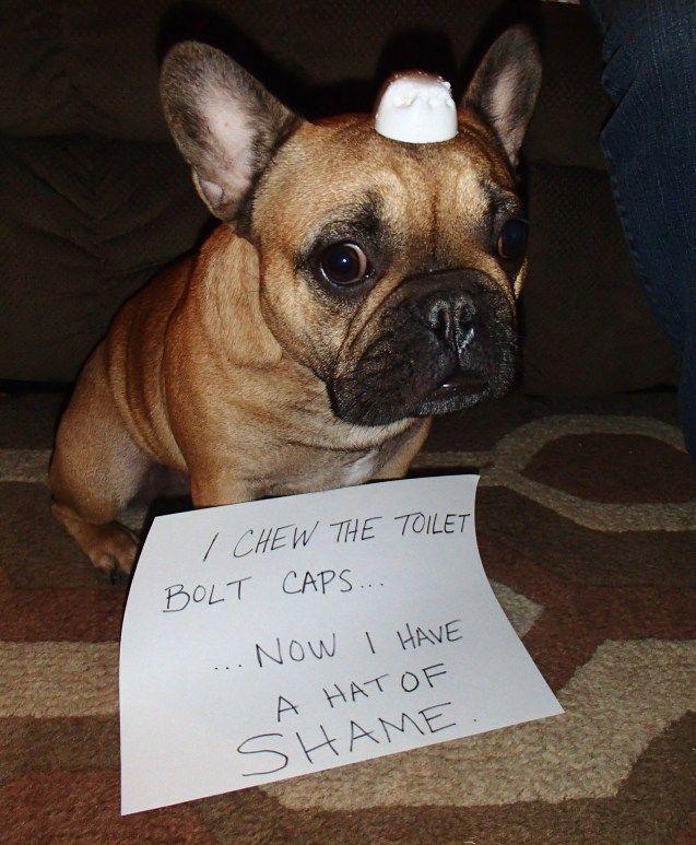 Finish this sentence: I should come with a warning label or sign that says... ?