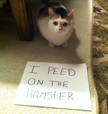 Finish this sentence: I should come with a warning label or sign that says... ?