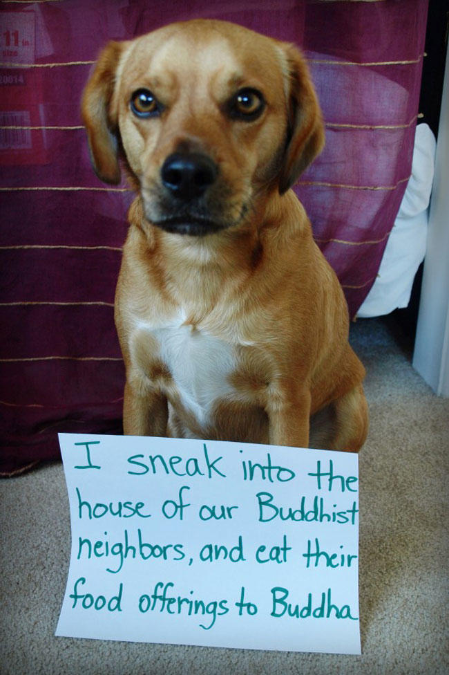 Finish this sentence: I should come with a warning label or sign that says... ?