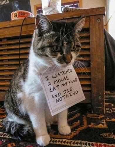 Finish this sentence: I should come with a warning label or sign that says... ?