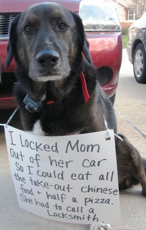 Finish this sentence: I should come with a warning label or sign that says... ?