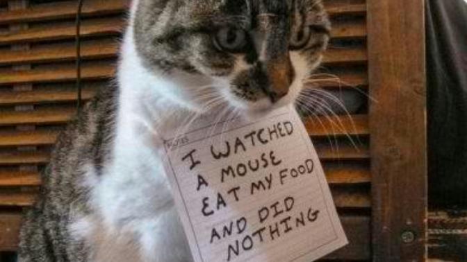 Finish this sentence: "I should come with a warning label or sign that says... "?