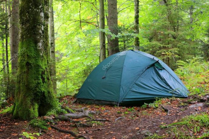 Have you ever been camping?