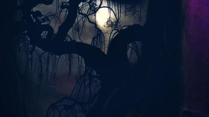 Could you survive being lost in the wood for three days and nights?