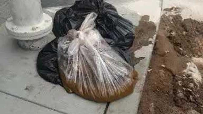 My sister let her boyfriend take a shit in her room, Would you let your boyfriend/girlfriend shit in a bag in your room if you loved them?