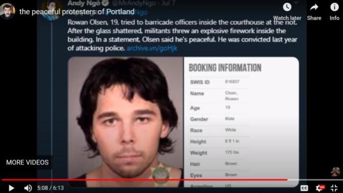 Why the fuck are these protestors protesting about the police now when it is the protestors that are getting violent?
