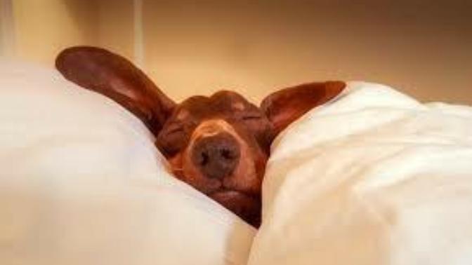 What time do you usually go to bed?