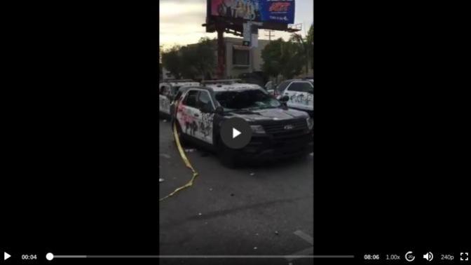 Seeing is believing. Given you watched these videos, do you still support Marxist BLM?