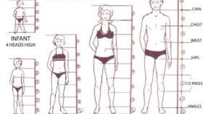 How many heads tall are you?