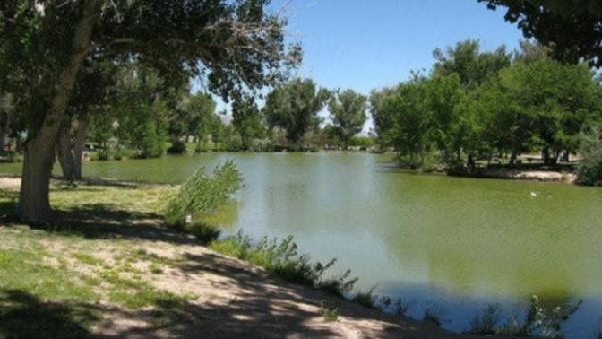 What's the best park where you live?