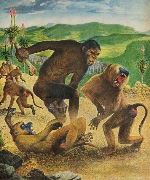 Apes rule!!