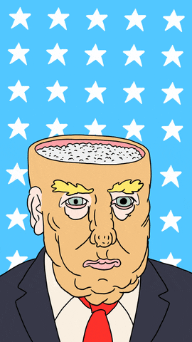 I'm voting for trump because he built the wall, imprisoned Hilary & made us all rich from a strong economy; what's your bullshit & senseless reason?