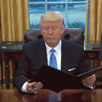I'm voting for trump because he built the wall, imprisoned Hilary & made us all rich from a strong economy; what's your bullshit & senseless reason?
