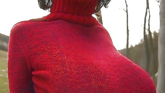 Do you like this Holiday turtleneck?