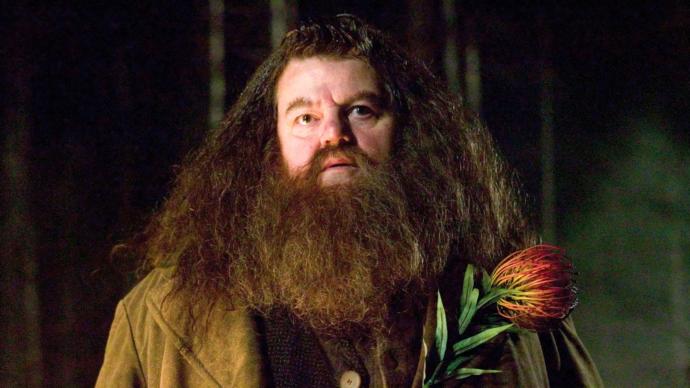 Ladies what do you like on men. Big beard, small beard or no beard?
