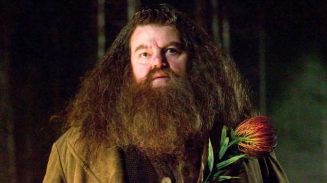 Ladies what do you like on men. Big beard, small beard or no beard?