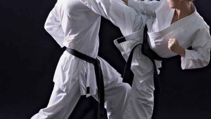 Which martial arts is the best?
