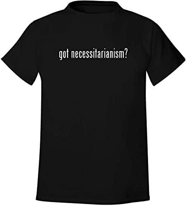 What are your views on necessitarianism and are you a believer in this type of proposition?
