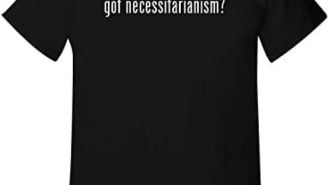 What are your views on necessitarianism and are you a believer in this type of proposition?