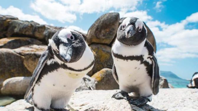 Is South Africa the fun African country?