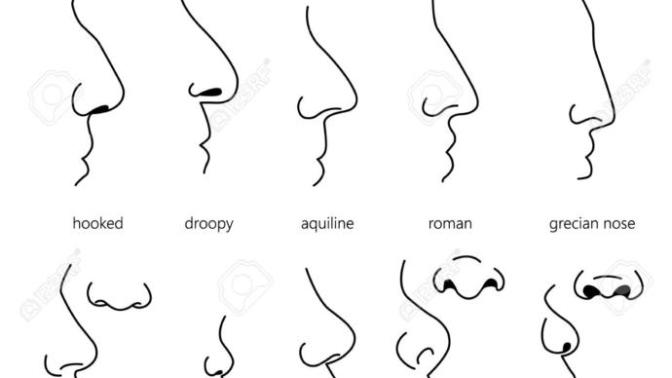 What is the shape of your nose? and do you like it?