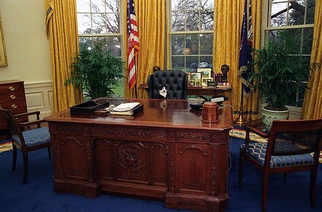 Which first pet ever of the United States to enter the White House is more popular that Bill Clinton owned?