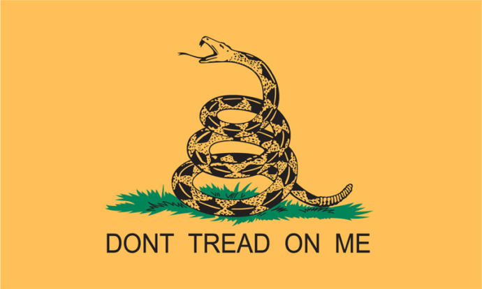 This is the Gadsden Flag.