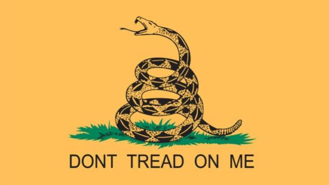 What do you think about the Gadsden Flag?