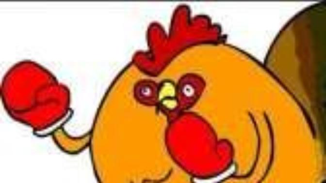 Would you win this 12 round boxing match against this chicken?