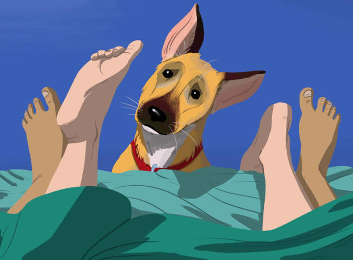 Have you ever had your pets walk in on you when your having sex?