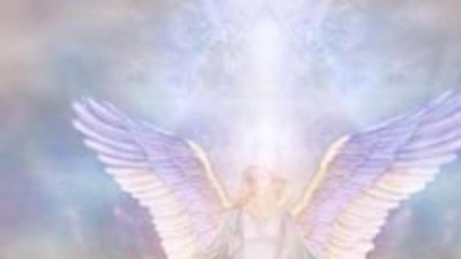 Which of the 4 main purposes of angels most excites you and why?