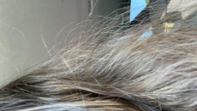 LADIES: damaged frizzy hair help?