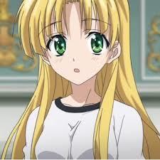 If you have watched High School DxD which is your favourite girl?