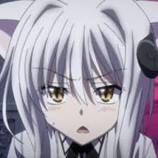 If you have watched High School DxD which is your favourite girl?