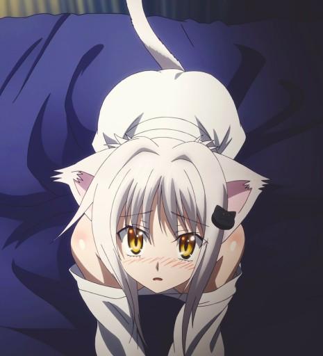 If you have watched "High School DxD" which is your favourite girl?