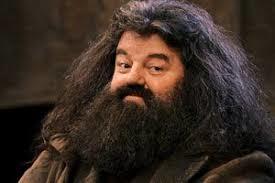 Favourite Harry Potter Character? Mention below if not in poll?